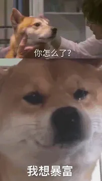 你怎么了？我想暴富