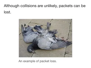 From the Wikipedia article, “IP over Avian Carriers”