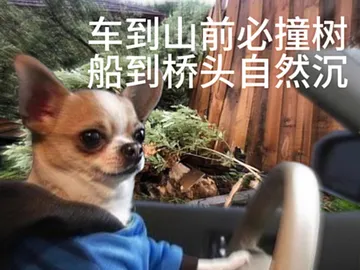 车到山前必撞树船到桥头自然沉