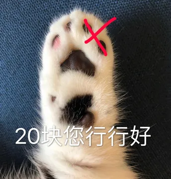 20块您行行好