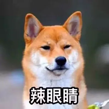 辣眼睛