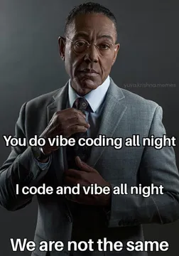 Vibe Or Cry: The Developer Hierarchy