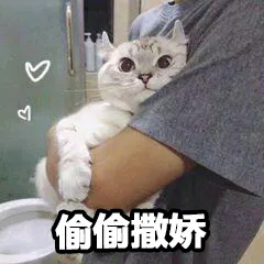 偷偷撒娇