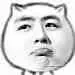 宝宝不开心了（猫脸）