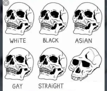 White Black Asian Gay Straight skull template
