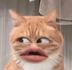 大嘴猫咪扭头尴尬表情包