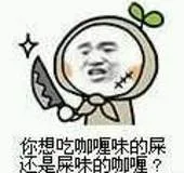 你想吃咖喱味的屎.还是屎味的咖喱?