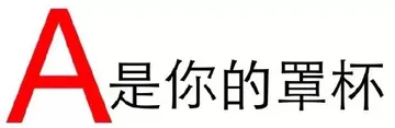 A是你的罩杯