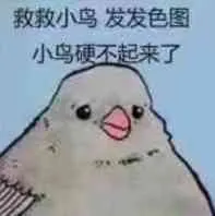 救救小鸟.发发色图.小鸟硬不起来了