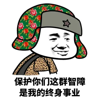 保护你们这群智障是我的终身事业