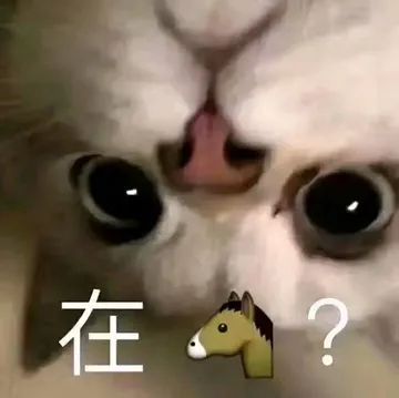 在吗?