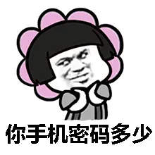 你手机密码多少