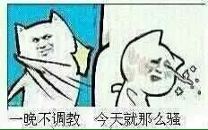 一晚不调教，今天就那么骚