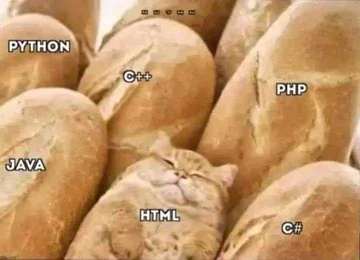 Don't Mind Me, Just A Markup Language Among The Code