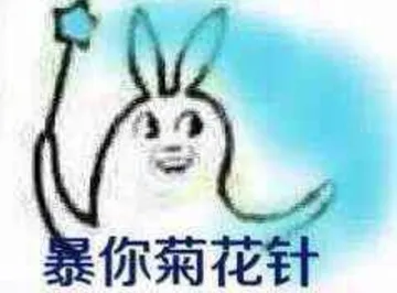 暴你菊花针
