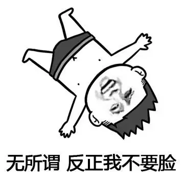 无所谓，反正我不要脸