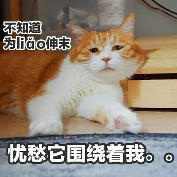 不知道界a求伤愁安围绕着我。