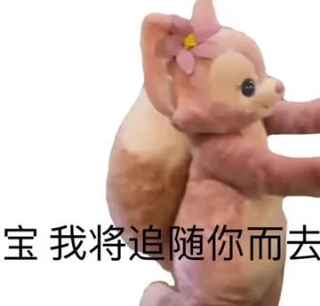 宝我将追随你而去