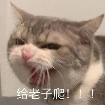 给老子爬
