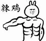 辣鸡（全身是肌肉的兔子）