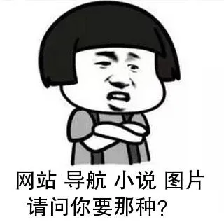 网站导航小说图片，请问你要那种
