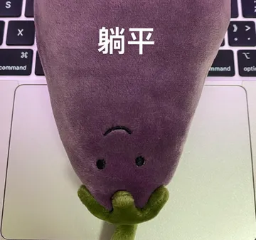 躺平 memes