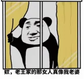 唉，老王家的那女人真像我老婆