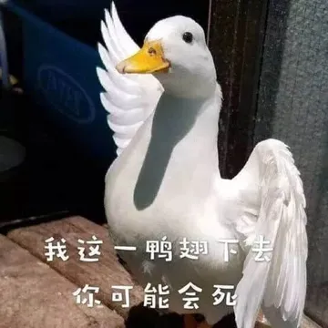 开心鸭00007-我这一鸭翅下去你可能会死