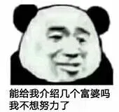 能给我介绍几个富婆吗?我不想努力了