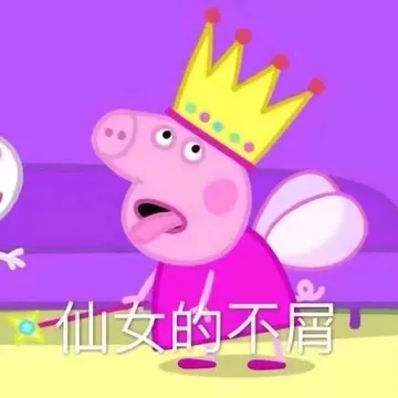 仙女的不屑