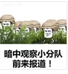 哈哈哈