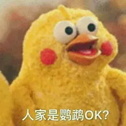 人家是鹦鹉OK?