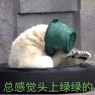 总感觉头上绿绿的58