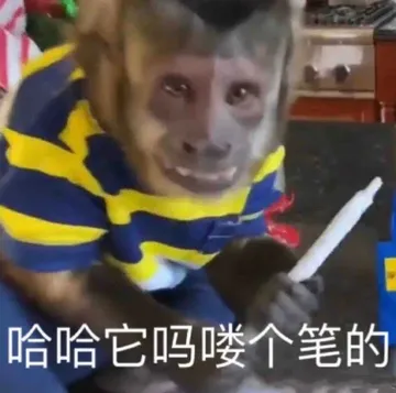 哈哈它吗喽个笔的