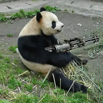 Panda With Machine Gun