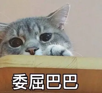 委屈巴巴