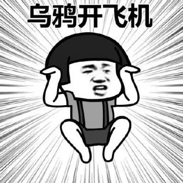 乌鸦开飞机