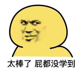 太棒了，屁都没学到