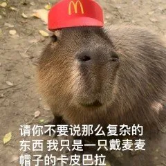 卡皮巴拉表情包
