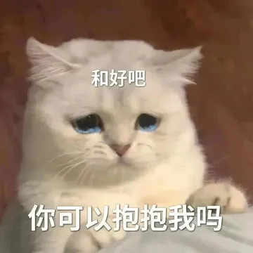 和好吧你可以抱抱我吗