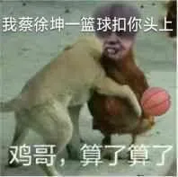 我蔡徐坤一篮球扣你头上鸡哥.算了算了