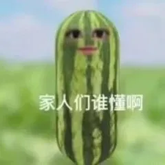 家人们谁懂啊