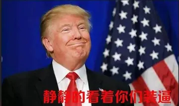 特朗普00029-静静的看你们装逼