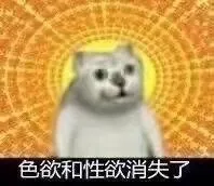 色欲和性欲消失了（mur猫表情包）