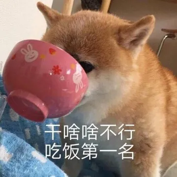 干啥啥不行，吃饭第一名