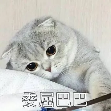 委屈巴巴