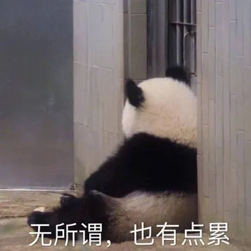 无所谓，也有点累