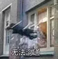 微信网友贡献表情包暂存有时间慢慢整理