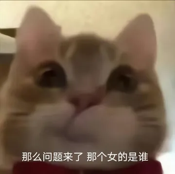 那么问题来了那个女的是谁表情包