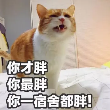 你才胖.你最胖你看宿舍都胖